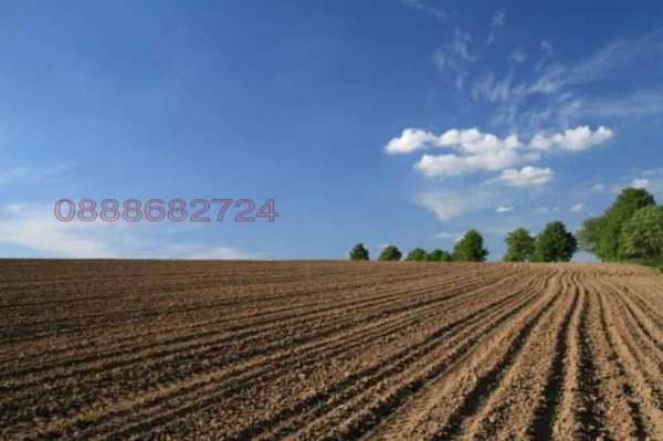 Продава земеделска земя, с. мечка, област русе