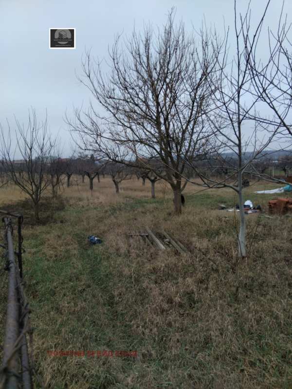 Продава парцел, с. самораново, област кюстендил