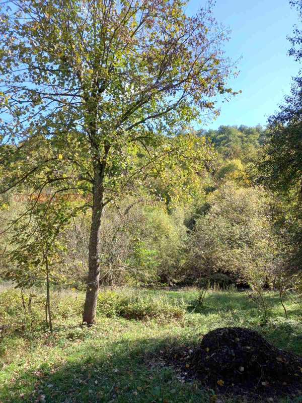 Продава парцел, с. рибарица, област ловеч