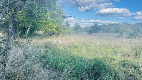 Продава парцел, гр. търговище, вилна зона