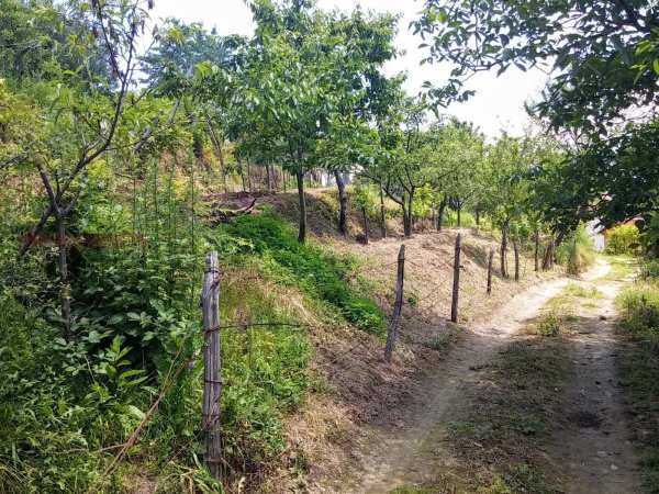 Продава парцел, гр. берковица, област монтана