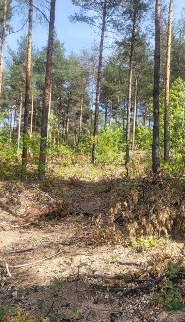 Продава парцел, с. очуша, област софия област