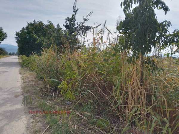 Продава парцел, с. оризари, област пловдив
