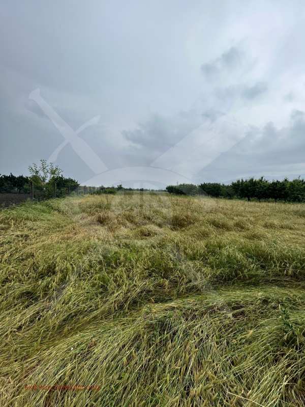 Продава парцел, с. белащица, област пловдив