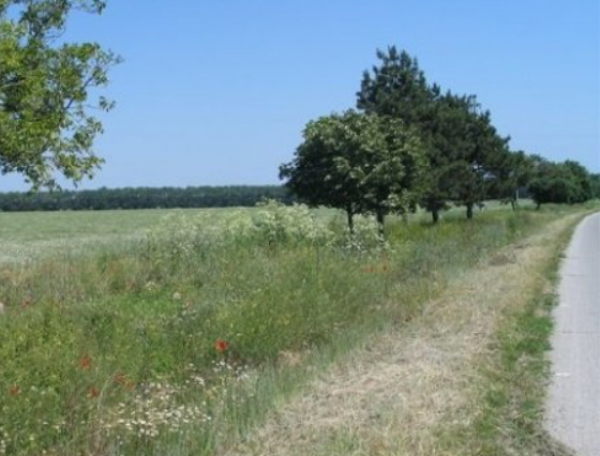 Продава парцел, с. дуранкулак, област добрич