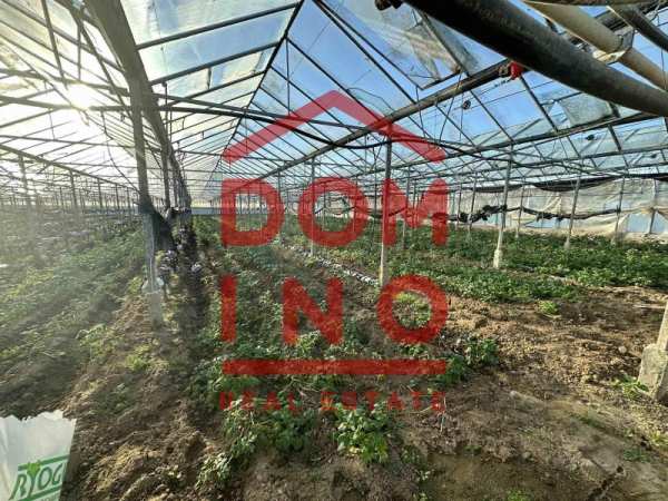 Продава земеделска земя, с. говедаре, област пазарджик