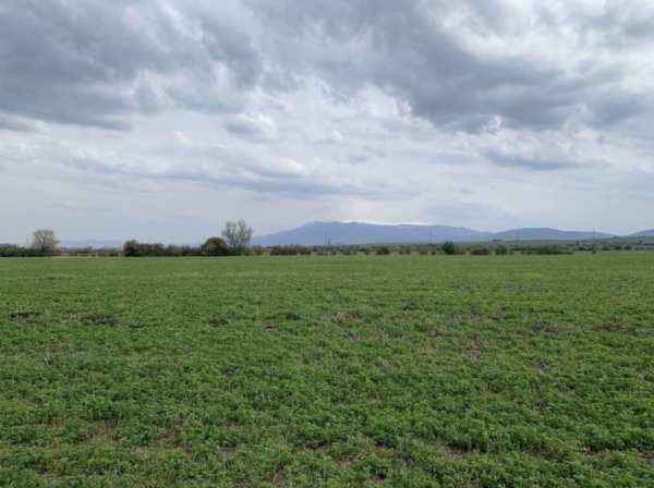 Продава парцел, с. пролеша, област софия област