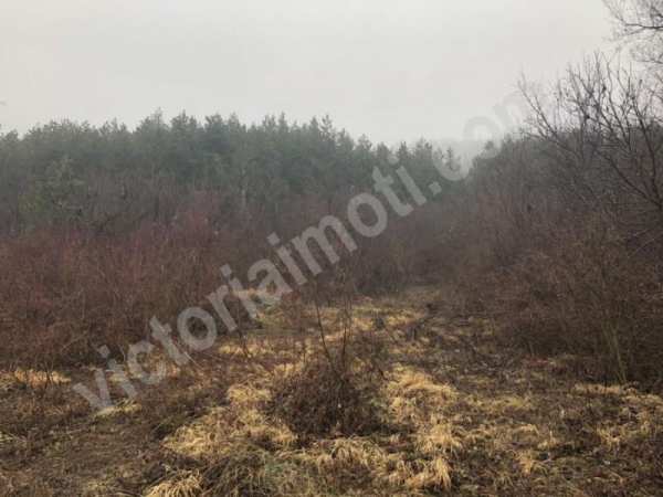 Продава парцел, с. присово, област велико търново