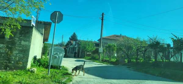 Продава парцел, с. осеново, област варна