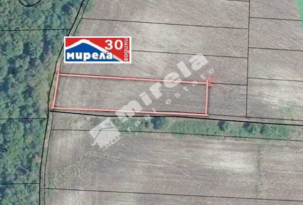 Продава земеделска земя, с. беляковец, област велико търново
