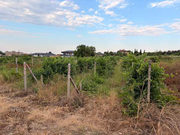 Продава земеделска земя, с. марково, област пловдив