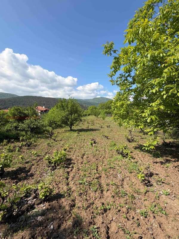 Продава земеделска земя, гр. асеновград, област пловдив