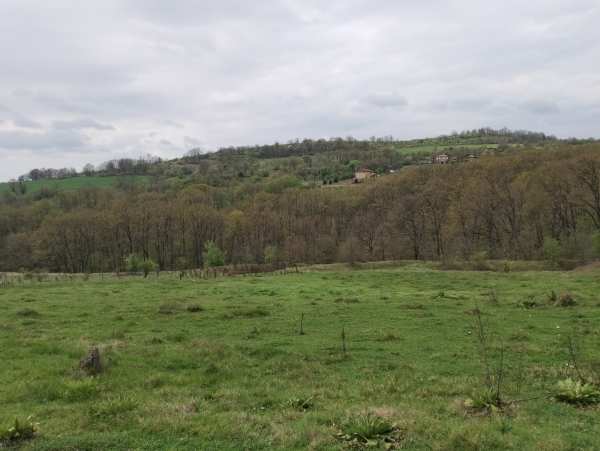 Продава земеделска земя, с. солник, област варна