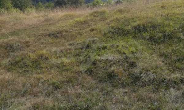 Продава парцел, с. рибарица, област ловеч