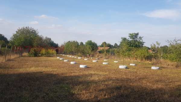 Продава парцел, с. коиловци, област плевен