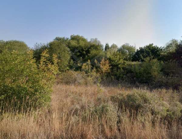 Продава парцел, с. варвара, област бургас