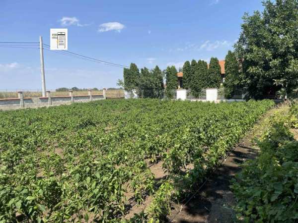 Продава парцел, с. крапец, област добрич