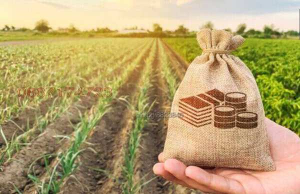 Продава парцел, с. каменар, област бургас