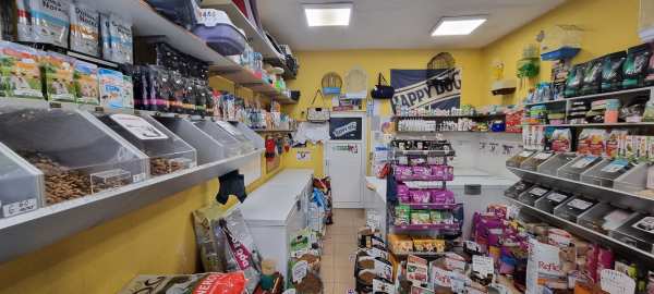 Дава под наем магазин, гр. разград, бели лом